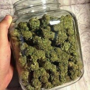 Meet your Posher, Nguti